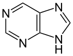 Main Difference - Purines vs Pyrimidines