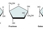 Difference Between Starch Cellulose and Glycogen | Structure ...