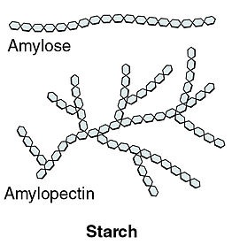 Difference Between Sugar And Starch Definition Structure