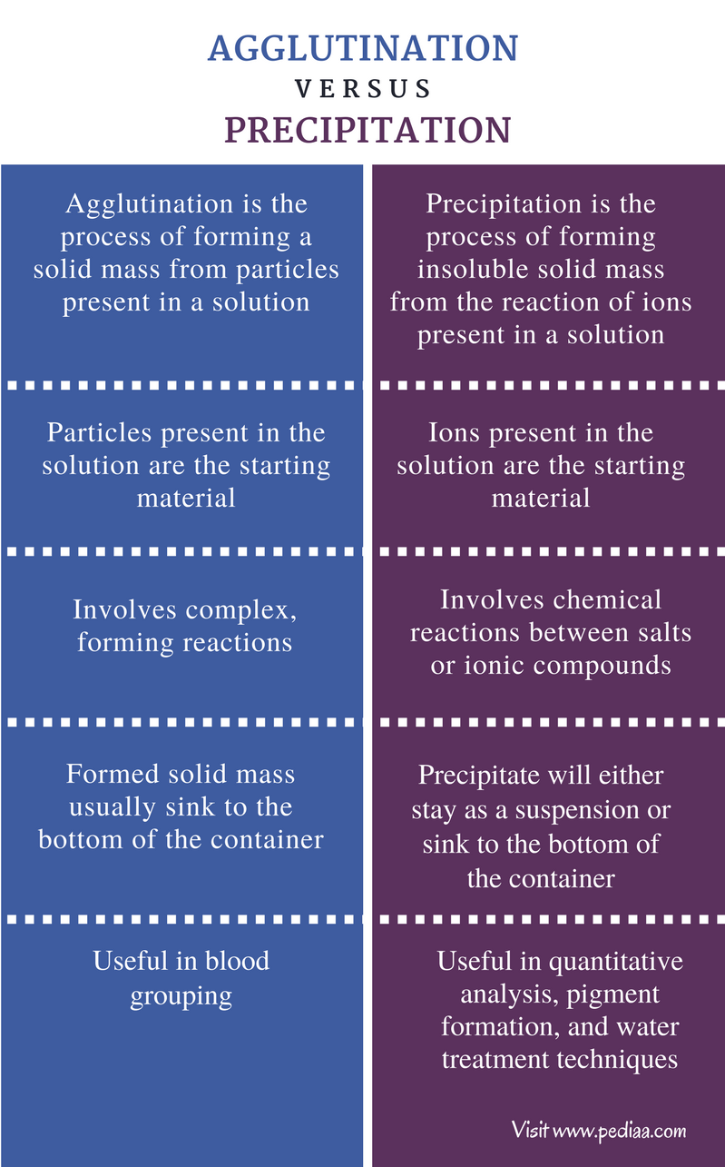 Difference Between Agglutination and Precipitation | Definition ...