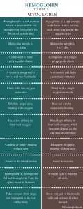 Difference Between Hemoglobin and Myoglobin | Definition, Structure and ...