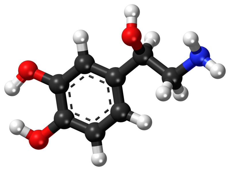 Difference Between Norepinephrine and Epinephrine | Definition ...