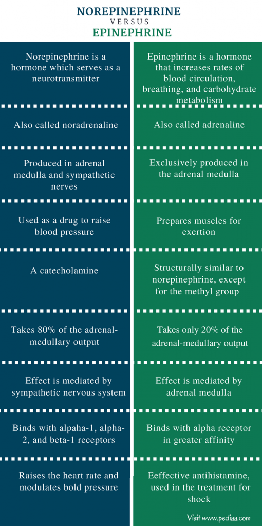 difference-between-norepinephrine-and-epinephrine-definition