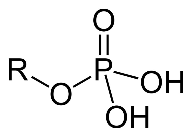 Difference Between Phosphorus and Phosphate | Physical and Chemical ...