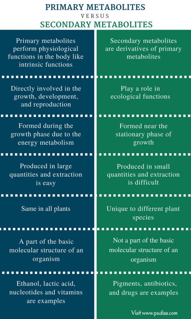 Difference Between Primary and Secondary Metabolites Definition