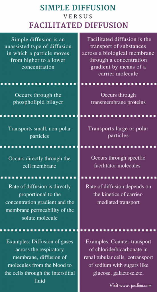 difference-between-simple-diffusion-and-facilitated-diffusion