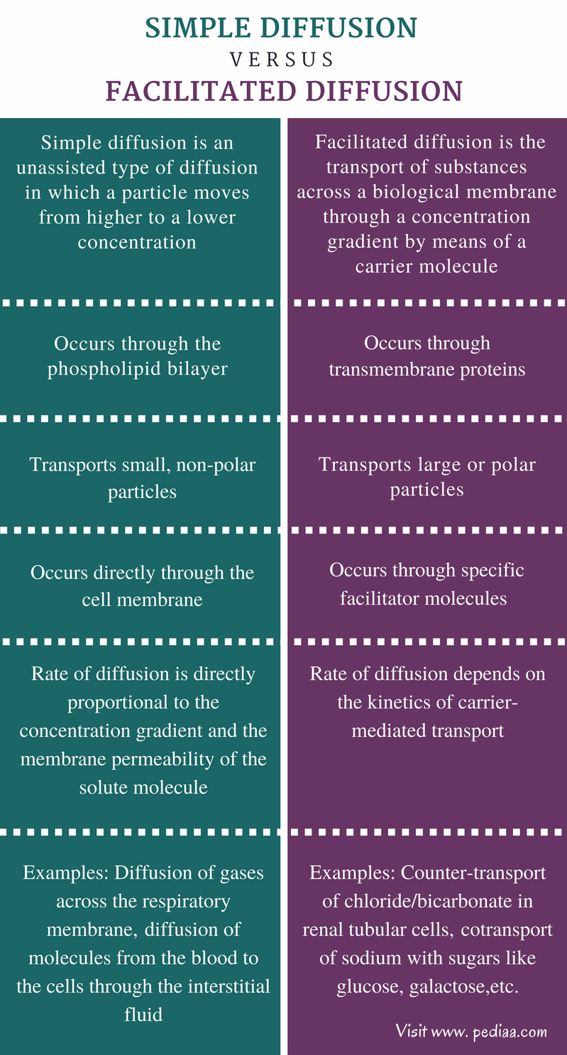 Difference Between Simple Diffusion and Facilitated Diffusion - Comparison Summary