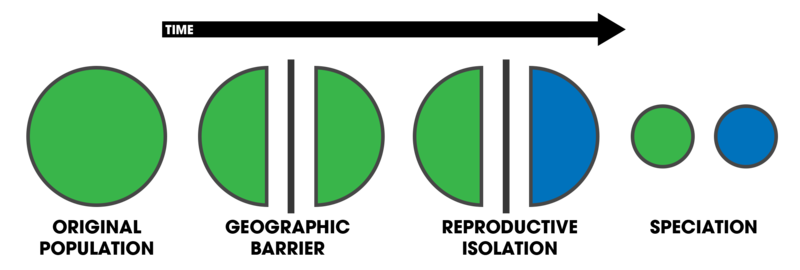 difference-between-allopatric-and-sympatric-speciation-definition