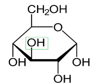 Difference Between D and L Glucose | Definition, Structure, Properties