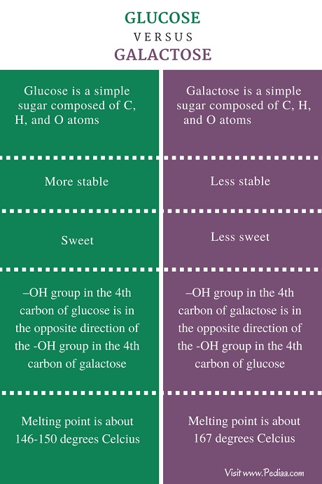 Difference Between Glucose and Galactose - Comparison Summary_01