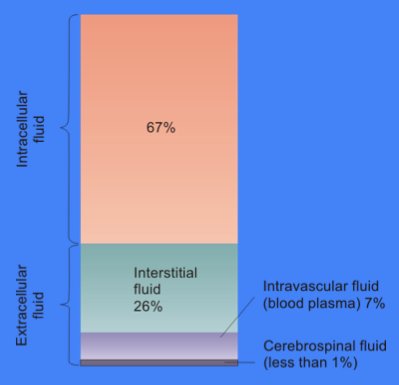 Main Difference - Intracellular Fluid vs Extracellular Fluid 