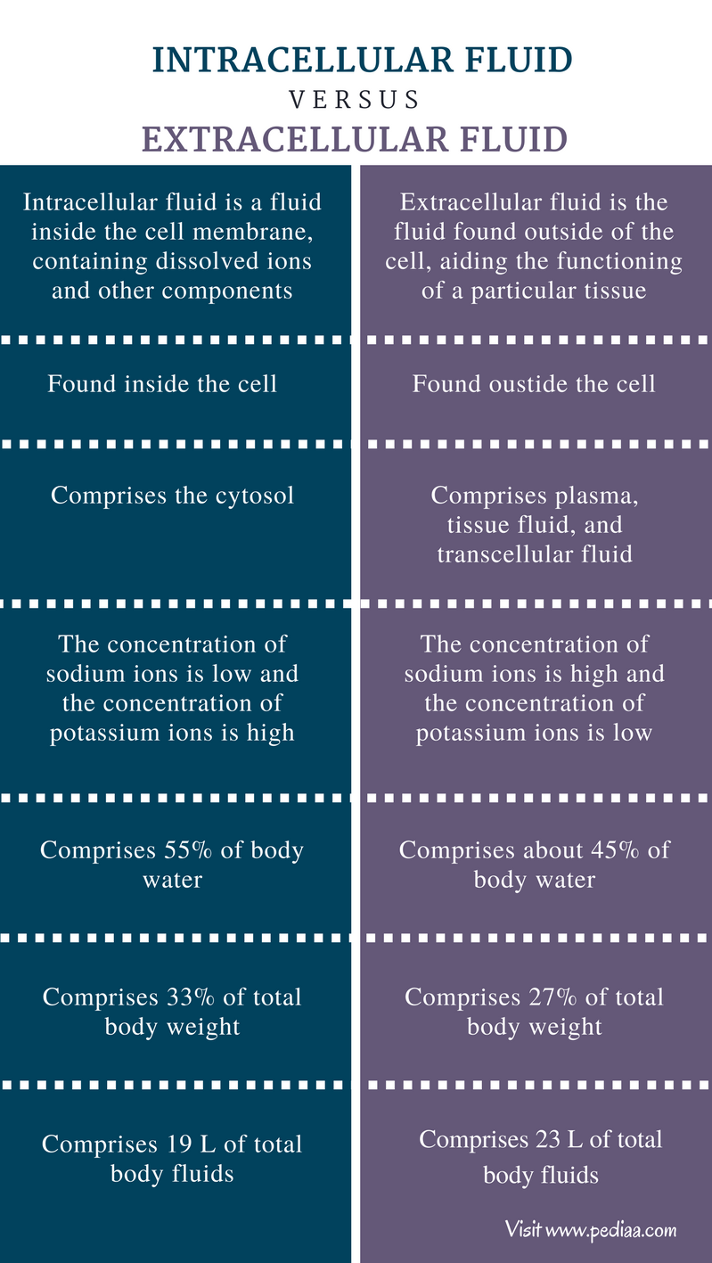 Difference Between Intracellular And Extracellular Fluid Definition 