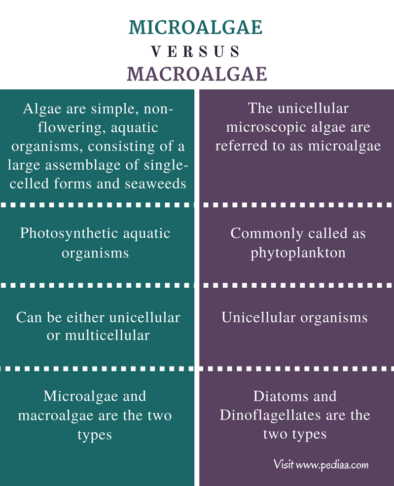 Difference Between Algae and Microalgae Definition, Types, Features