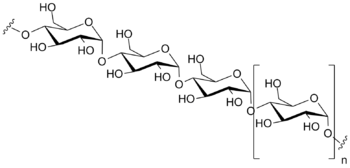 Difference Between Monosaccharides Disaccharides And Polysaccharides