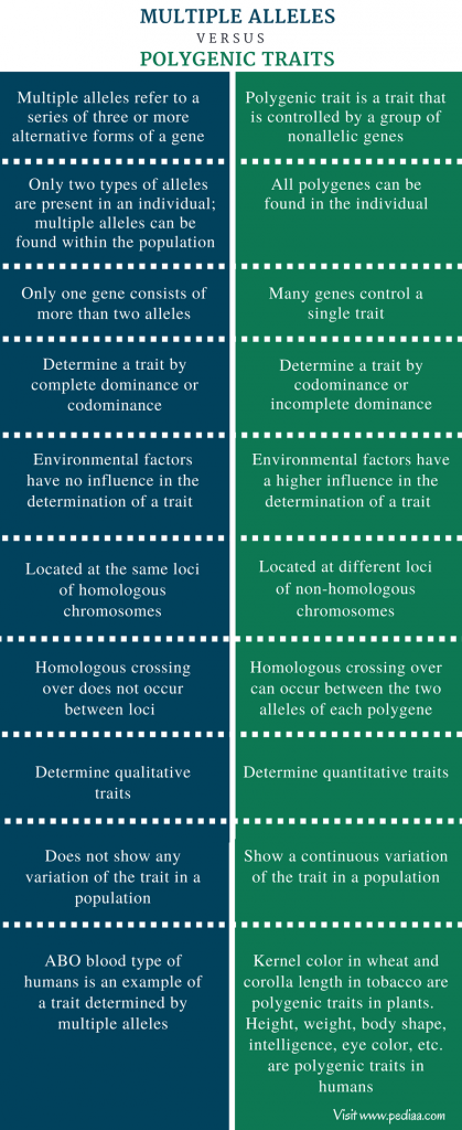 Difference Between Multiple Alleles and Polygenic Traits – Pediaa.Com