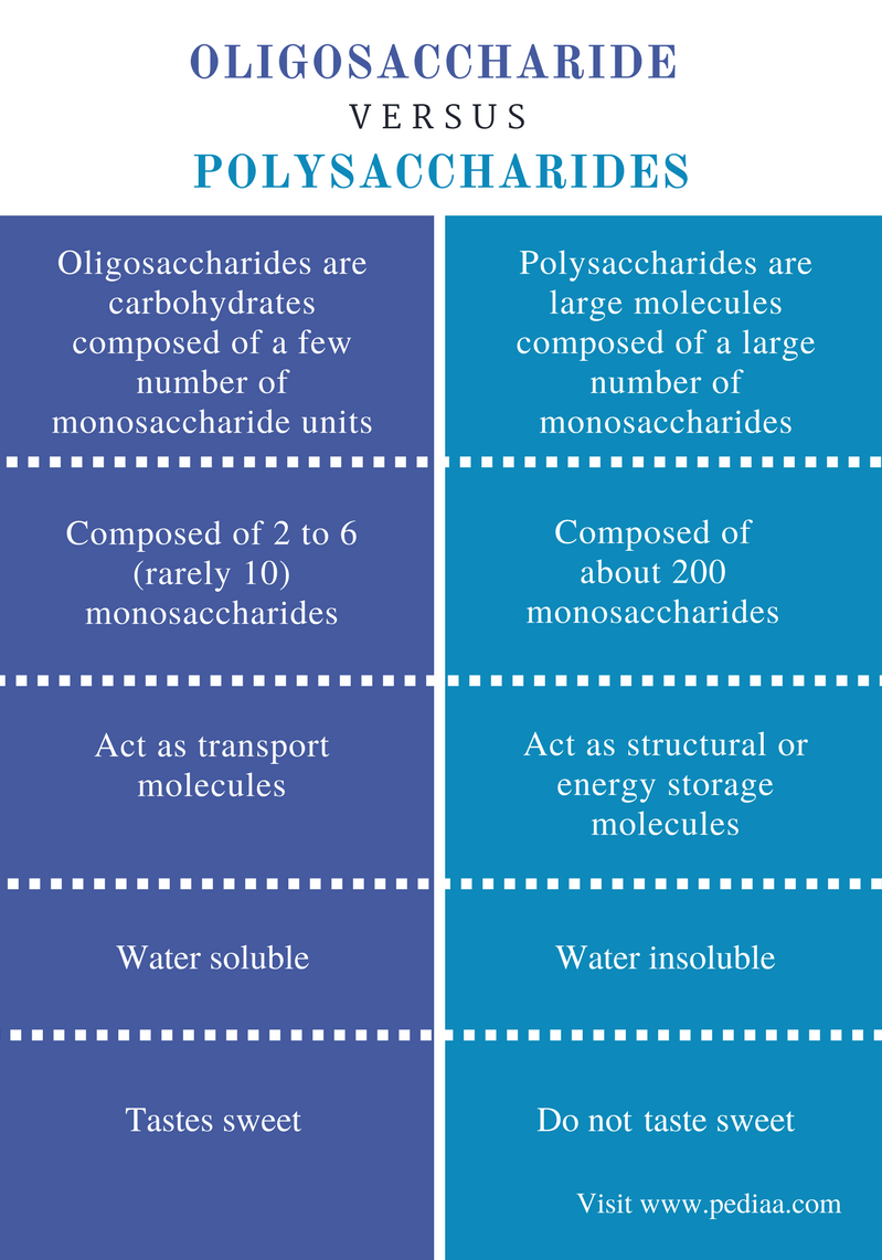 Difference Between Oligosaccharides and Polysaccharides - Comparison Summary