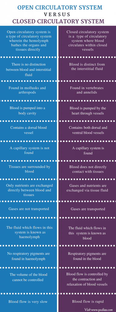 Difference Between Open And Closed Circulatory System Definition 