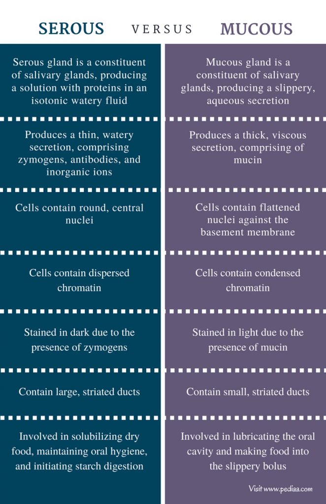 difference-between-serous-and-mucous-definition-glands-and-secretion