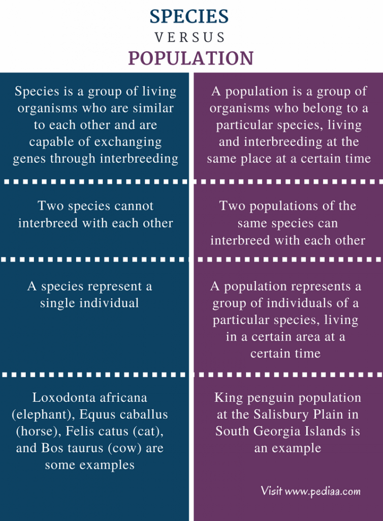 difference-between-species-and-population-definition-features-examples