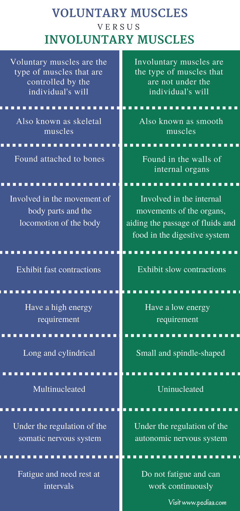 difference-between-voluntary-and-involuntary-muscles-definition