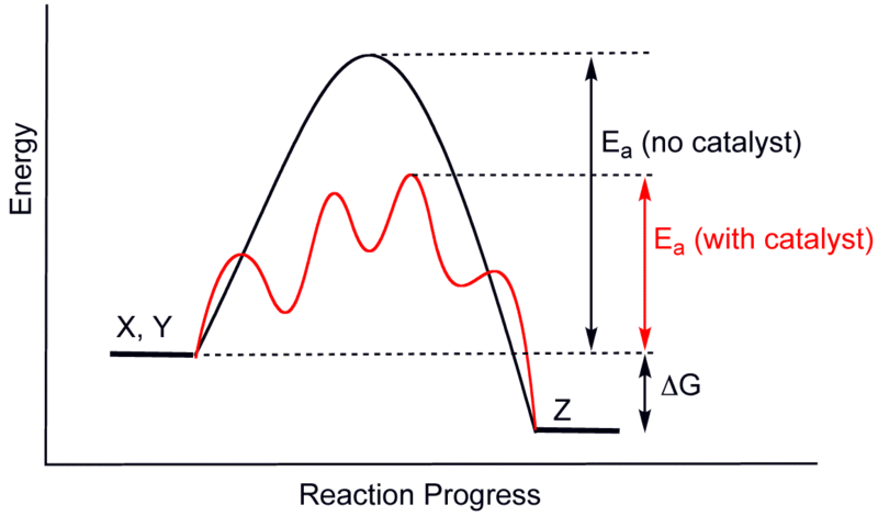 difference-between-catalyst-and-enzyme-definition-characteristics