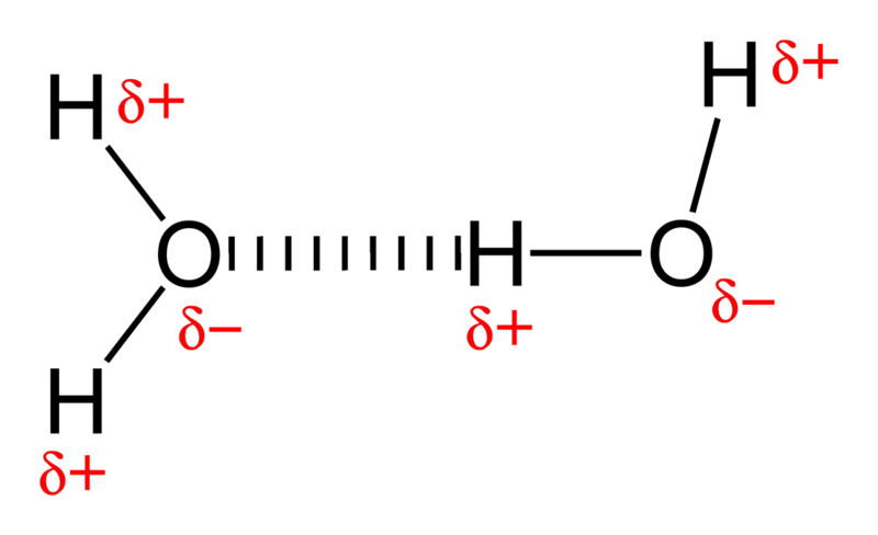 Main Difference - Covalent vs Hydrogen Bonds