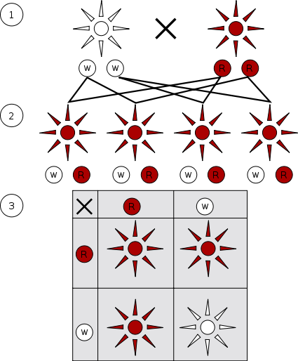 difference-between-mendelian-and-non-mendelian-inheritance-definition