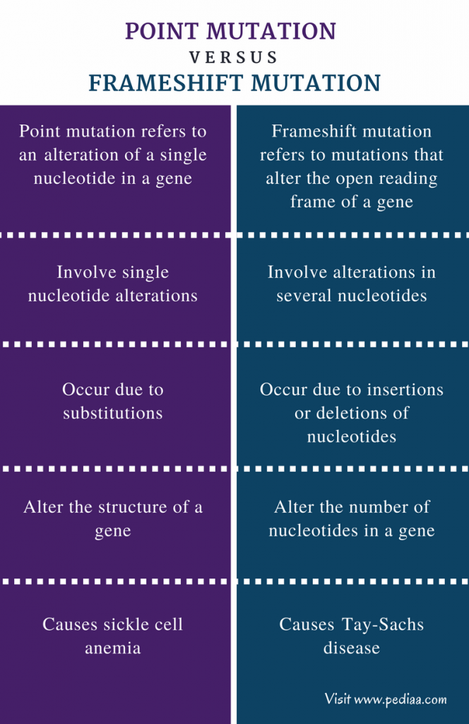 difference-between-point-mutation-and-frameshift-mutation-definition