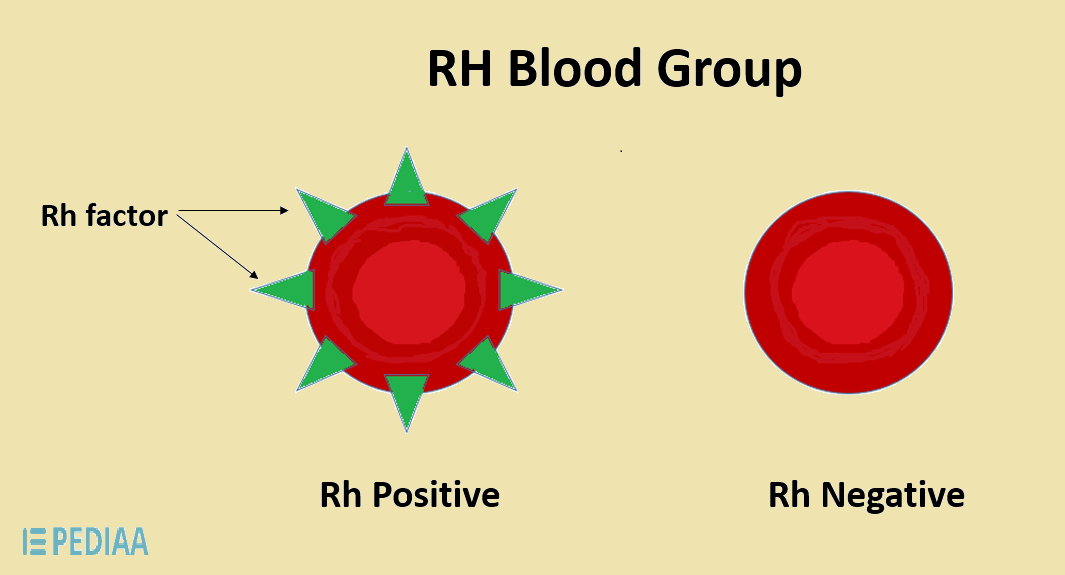 Difference Between Positive And Negative Blood Definition Determination Transfusion