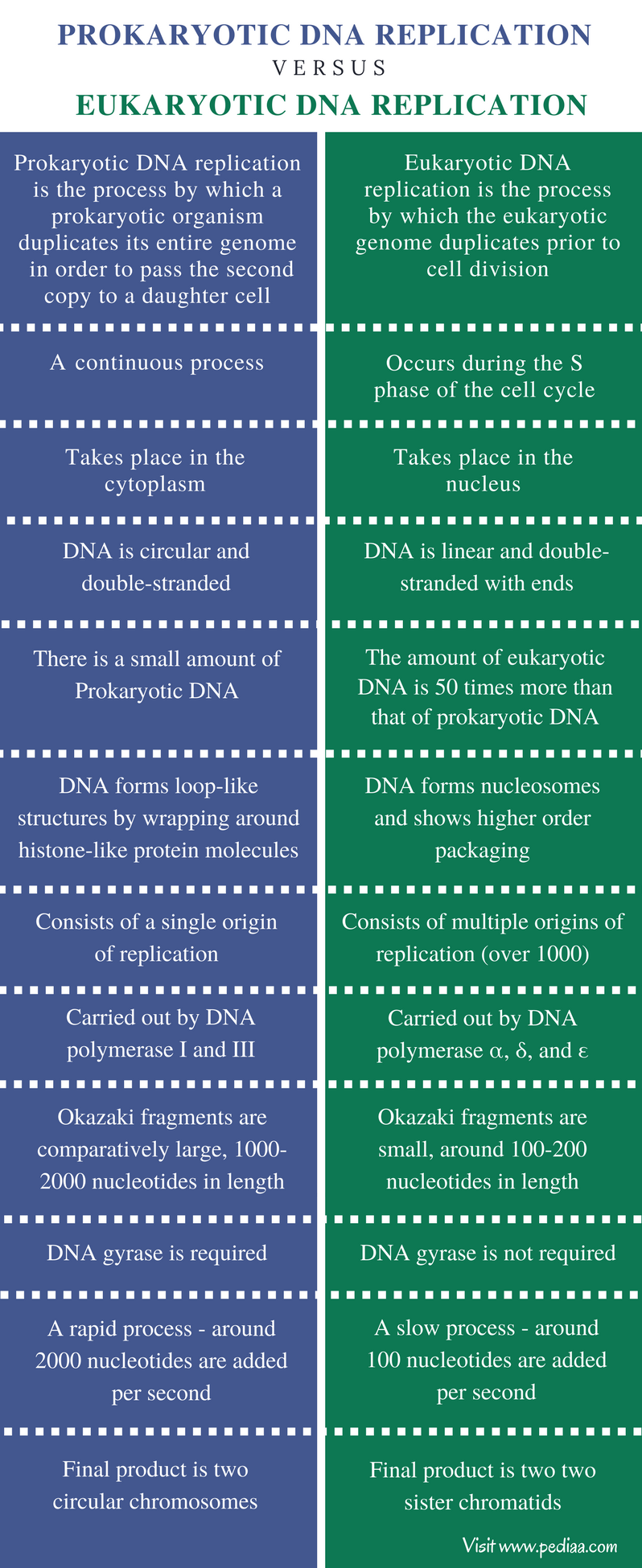 Difference Between Prokaryotic And Eukaryotic Dna Replication Zohal