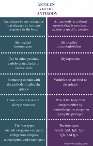 Difference Between Antigen And Antibody Definition Characteristics difference-between-antigen-and-antibody-definition-characteristics