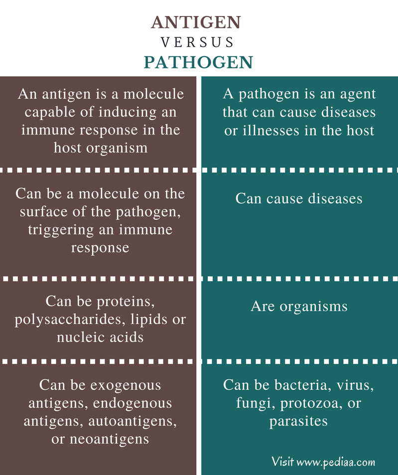 Difference Between Antigen and Pathogen- Comparison Summary