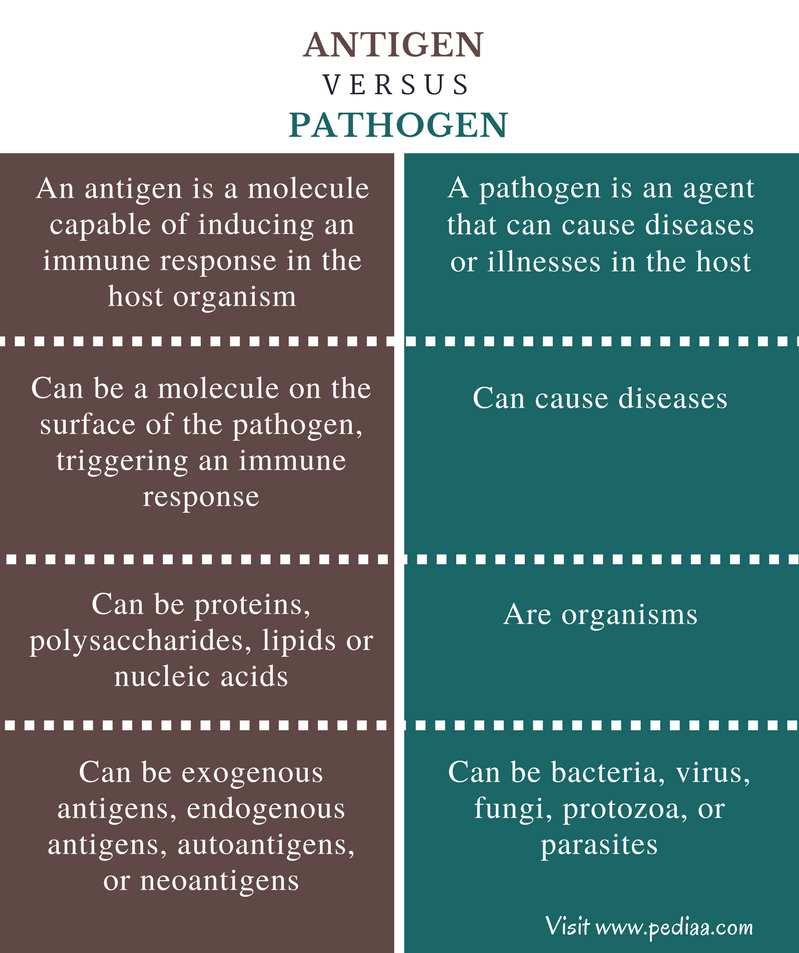 Difference Between Antigen and Pathogen | Definition, Characteristics ...