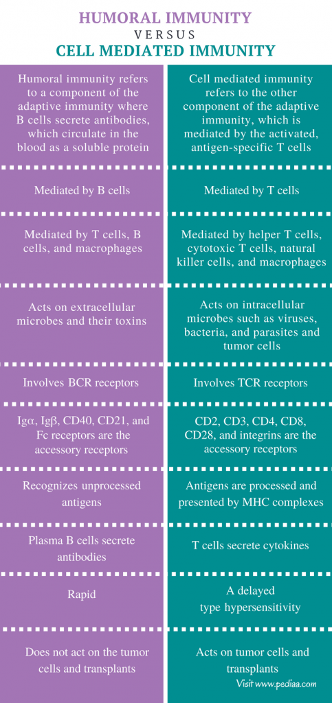 difference-between-humoral-and-cell-mediated-immunity-definition