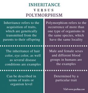 Difference Between Inheritance and Polymorphism | Definition ...
