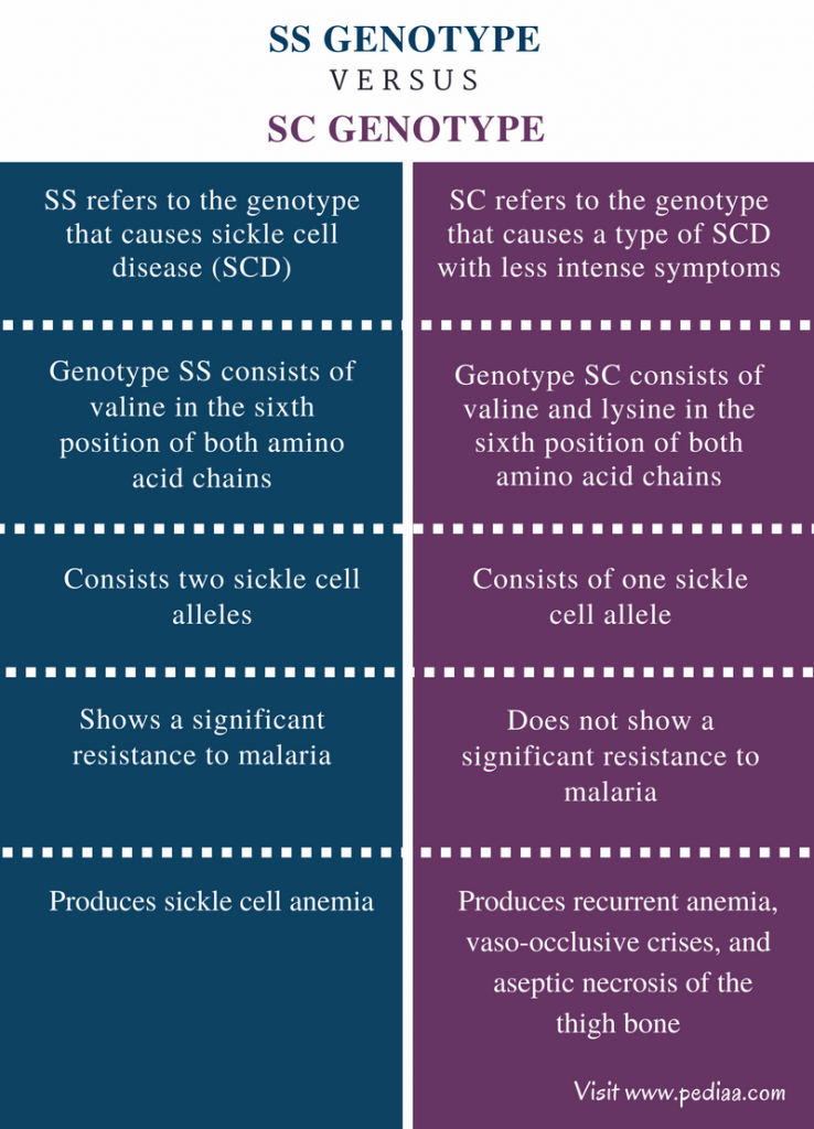 difference-between-ss-and-sc-genotype-definition-characteristics