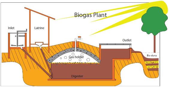 Difference Between Biomass and Biogas