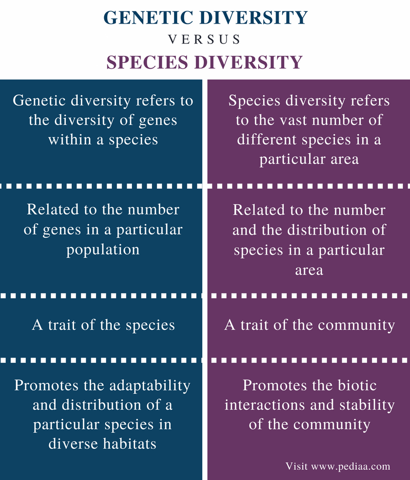 Difference Between Genetic Diversity and Species Diversity ...