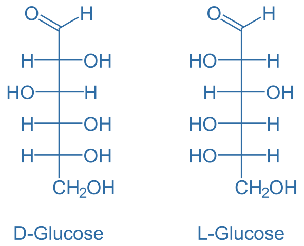 Main Difference - Glucose vs Sucrose