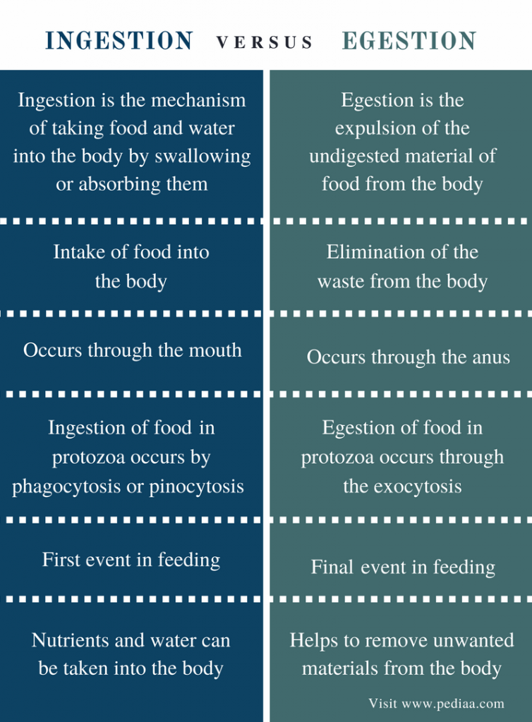 difference-between-ingestion-and-egestion-definition-types-mechanism