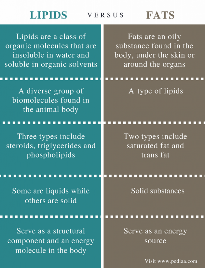 Difference Between Lipids and Fats | Definition, Types, Characteristics