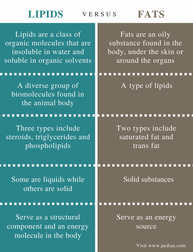 difference-between-lipids-and-fats-definition-types-characteristics