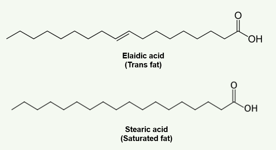 Difference Between Trans Fat and Saturated Fat