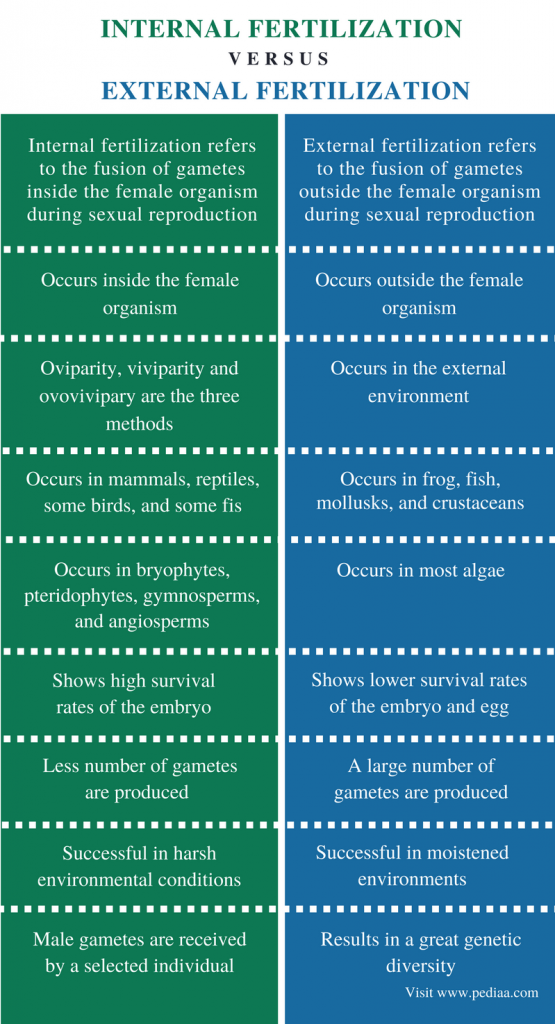 Difference Between Internal And External Fertilization Definition 