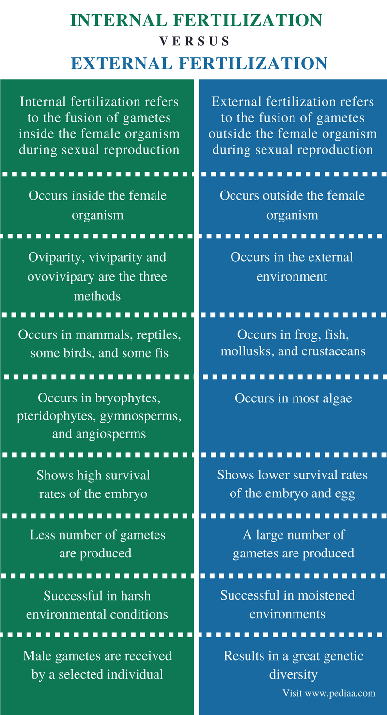 difference-between-internal-and-external-fertilization-definition