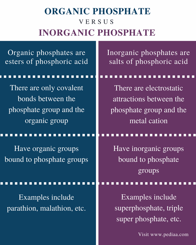 Difference Between Organic and Inorganic Phosphate - Comparison Summary