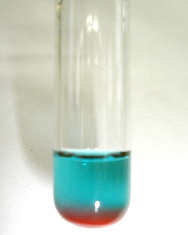 Difference Between Benedict's and Fehling's Solution Definition