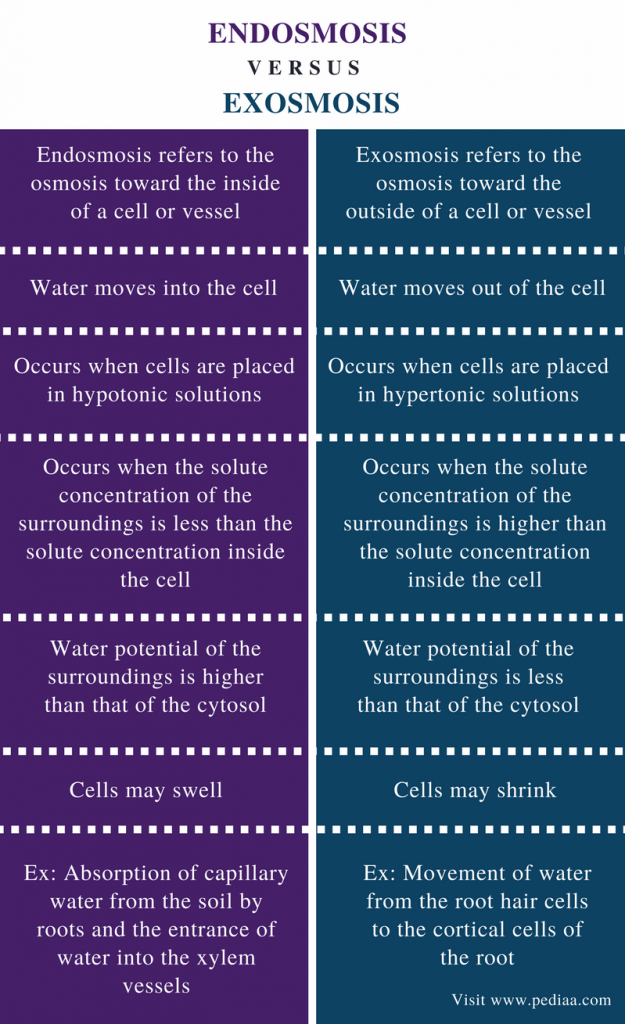 Difference Between Endosmosis And Exosmosis Definition Mechanism 