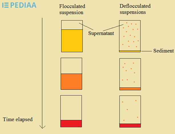 Difference Between Flocculated and Deflocculated Suspension ...