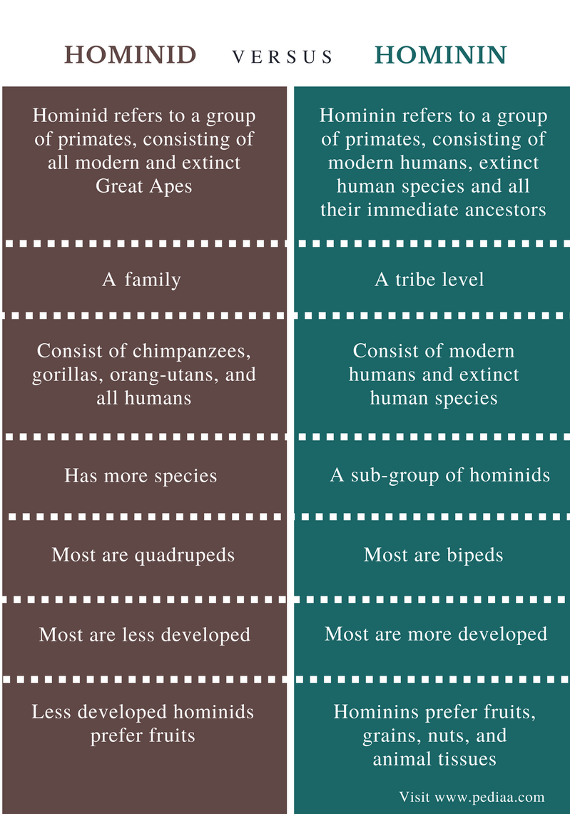 Difference Between Hominid And Hominin Definition Apes Features